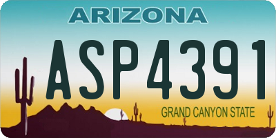 AZ license plate ASP4391