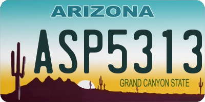 AZ license plate ASP5313