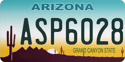 AZ license plate ASP6028