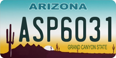 AZ license plate ASP6031
