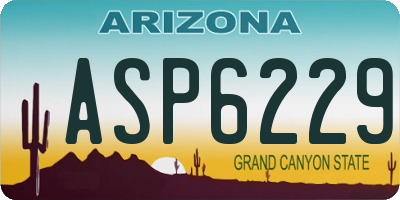 AZ license plate ASP6229