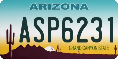 AZ license plate ASP6231