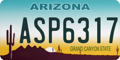 AZ license plate ASP6317