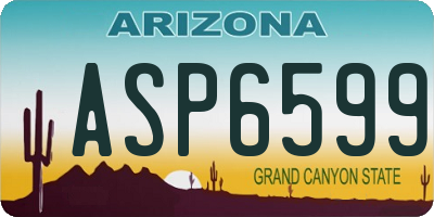 AZ license plate ASP6599