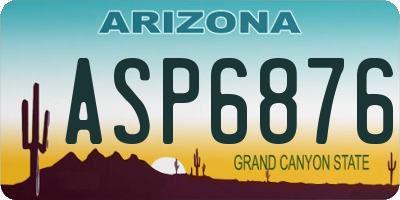 AZ license plate ASP6876