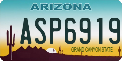 AZ license plate ASP6919