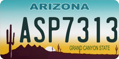 AZ license plate ASP7313