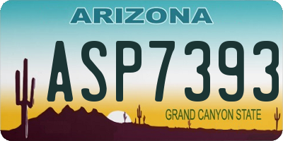 AZ license plate ASP7393