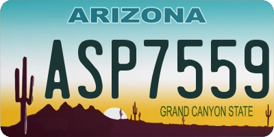AZ license plate ASP7559
