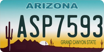 AZ license plate ASP7593