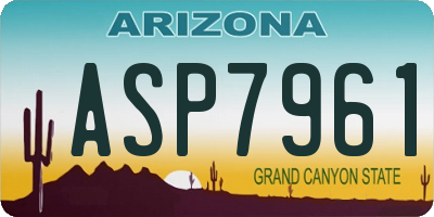 AZ license plate ASP7961