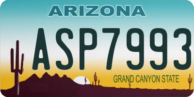 AZ license plate ASP7993