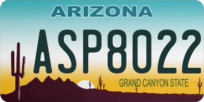 AZ license plate ASP8022