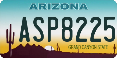 AZ license plate ASP8225