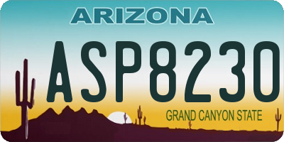 AZ license plate ASP8230