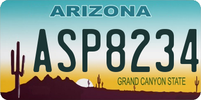AZ license plate ASP8234