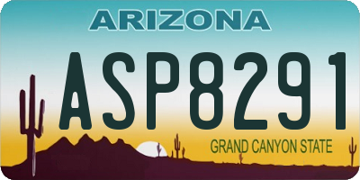 AZ license plate ASP8291