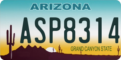AZ license plate ASP8314