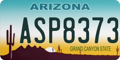 AZ license plate ASP8373