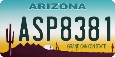 AZ license plate ASP8381
