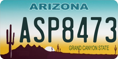 AZ license plate ASP8473