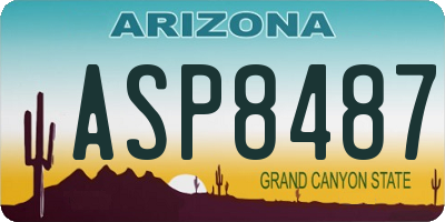 AZ license plate ASP8487