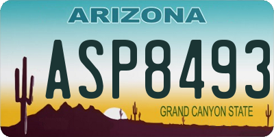AZ license plate ASP8493