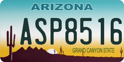 AZ license plate ASP8516