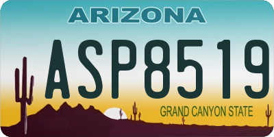 AZ license plate ASP8519