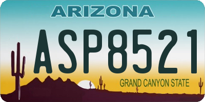 AZ license plate ASP8521