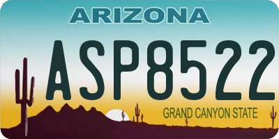 AZ license plate ASP8522