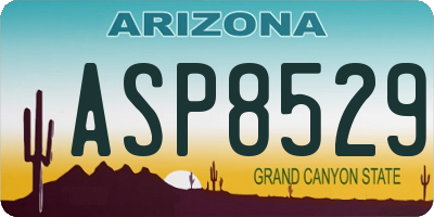 AZ license plate ASP8529
