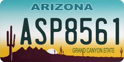 AZ license plate ASP8561