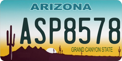 AZ license plate ASP8578