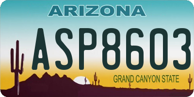 AZ license plate ASP8603