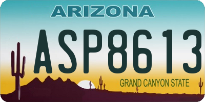 AZ license plate ASP8613