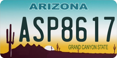 AZ license plate ASP8617