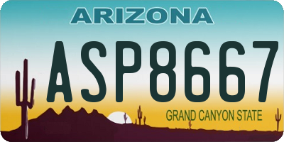 AZ license plate ASP8667