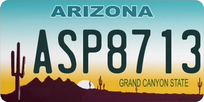 AZ license plate ASP8713