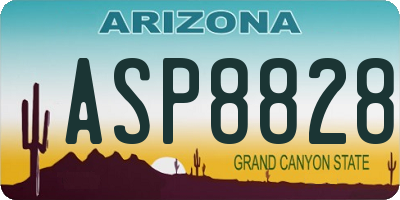 AZ license plate ASP8828