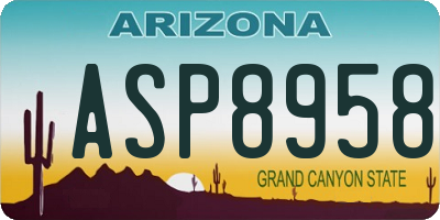AZ license plate ASP8958
