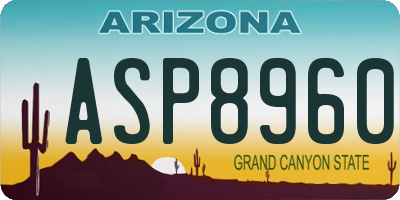 AZ license plate ASP8960