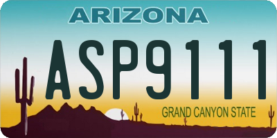 AZ license plate ASP9111