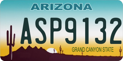 AZ license plate ASP9132