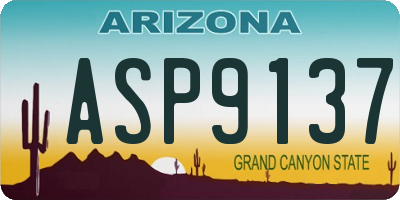 AZ license plate ASP9137
