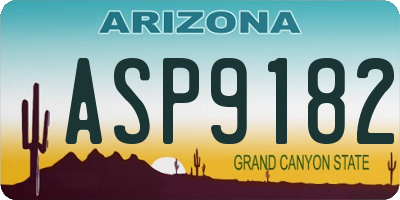 AZ license plate ASP9182