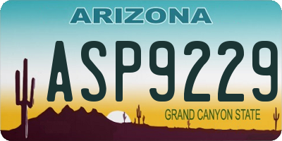 AZ license plate ASP9229