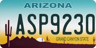 AZ license plate ASP9230