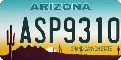 AZ license plate ASP9310