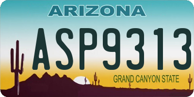 AZ license plate ASP9313
